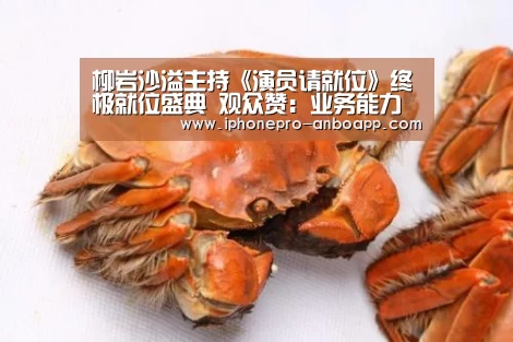 柳岩沙溢主持《演员请就位》终极就位盛典 观众赞：业务能力强|