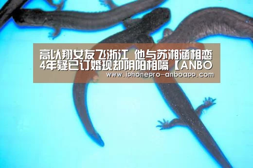 高以翔女友飞浙江 他与苏湘涵相恋4年疑已订婚现却阴阳相隔【ANBO体育APP下载】(图4) 安博电竞官网入口